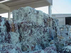 格拉辛纸（Glassine paper）