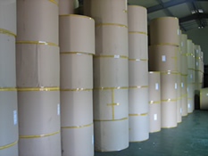 各种卷筒乱码纸（如：牛皮纸/牛卡纸/过滤纸/硅油纸/美纹纸/墙纸/相片纸等）(rejected papers in roll such as Kraft paper / Kraft linerboard/ filtering paper / silicon paper/ crepe/ wall paper/photo paper etc.)